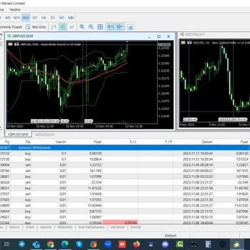 Maxus Market İsimli Forex Aracı Kurum Firması