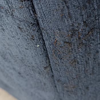 Mondihome Salon Takımında Yırtılma Ve Kırılma Var