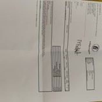 Boyner Lee Cooper T-shirt Renk Atması