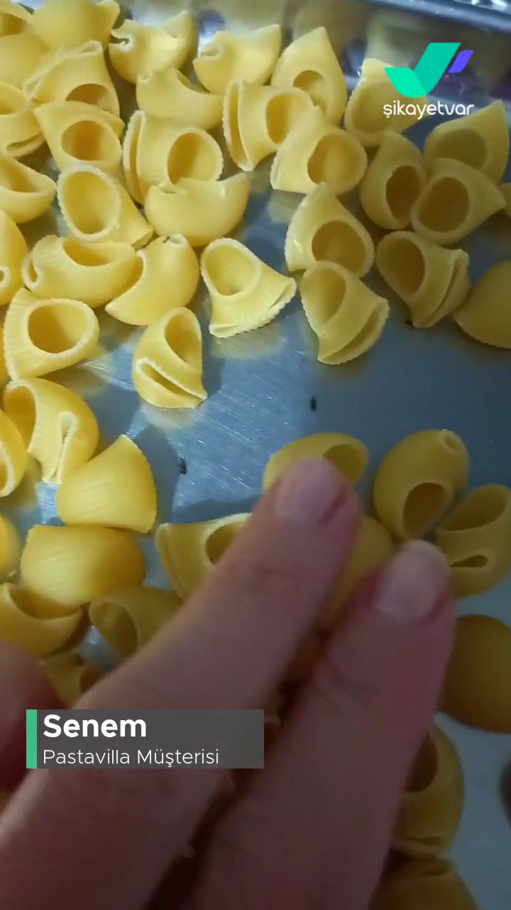 Pastavilla Mantı Makarnadan Çıkanlar! videonun kapak resmi