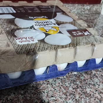 Şok Marketler Anadolu Çiftliği Yumurta Aldım. Açılmamış Kolide Kurt Vardı