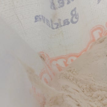 Yelmenler Un İçinde Kurt Dolu