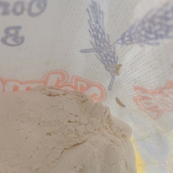 Yelmenler Un İçinde Kurt Dolu