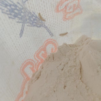 Yelmenler Un İçinde Kurt Dolu