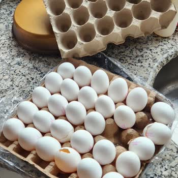 Migros Eve Gelen Siparişte Hasar Ve Eksiklik