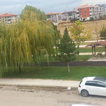 Afyonkarahisar Belediyesi Çöp Konteyneri Konulmaması