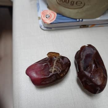 Harras Gıda Bozukluğu Ve Kirliliği