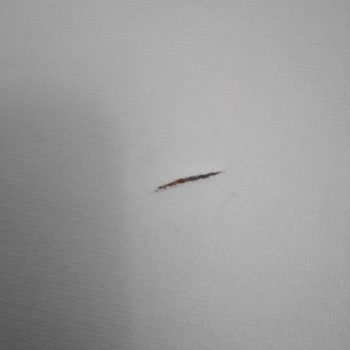 Lider Halı Yıkama (Bursa) Perdemi Yırtıp Koparıp Getirdiler