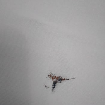 Lider Halı Yıkama (Bursa) Perdemi Yırtıp Koparıp Getirdiler