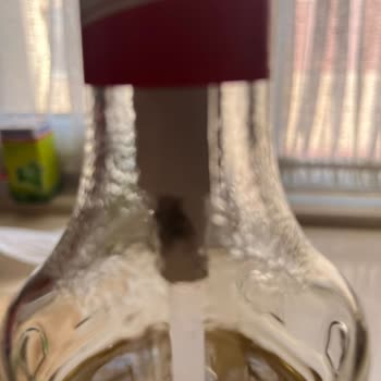 Monin Bozuk Şurup Ve Müşteri Desteğinin Olmaması