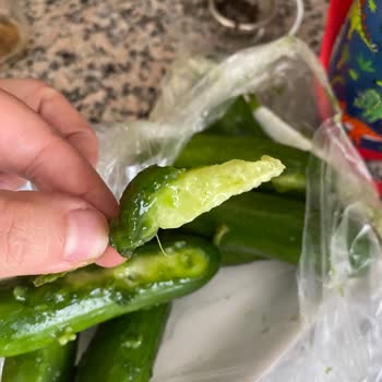 Migros'tan Gelen Çürük Salatalıklar Ve İlgi Eksikliği