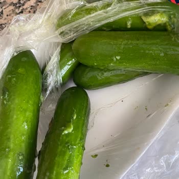 Migros'tan Gelen Çürük Salatalıklar Ve İlgi Eksikliği