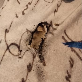 Oppo A91 Telefonum Patladı Ve Yangına Sebep Oldu