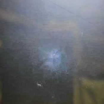 Samsung İlgisiz Ve Çözüm Üretmeyen Müşteri Hizmetleri