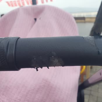 Chicco Best Friend Pro Bebek Arabası