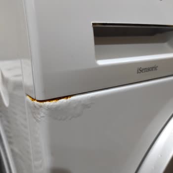 Siemens Marka Çamaşır Makinesi Paslandı