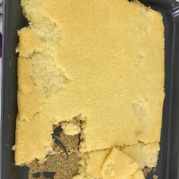 Bosch Fırın HBF534EW0T /13 Pişirmiyor!