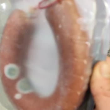 Polonez Acili Sucuk Küflenme