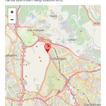 Pamukkale Turizm Şoförün Yolculuk Halinde Sigara İçmesi