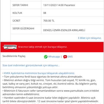 Pamukkale Turizm Şoförün Yolculuk Halinde Sigara İçmesi