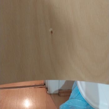 Eskidji Bazaar 11.000 TL'lik Mobilya Hüsranı Ve Esnaflık Dersi