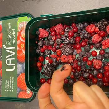 Lavi Juice Lavi Donmuş 4 Lü Orman Meyvesinin İçinden Donuk Halde Sinekler Çıktı