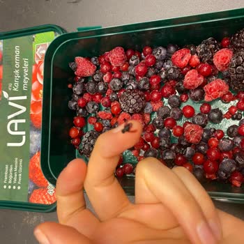 Lavi Juice Lavi Donmuş 4 Lü Orman Meyvesinin İçinden Donuk Halde Sinekler Çıktı