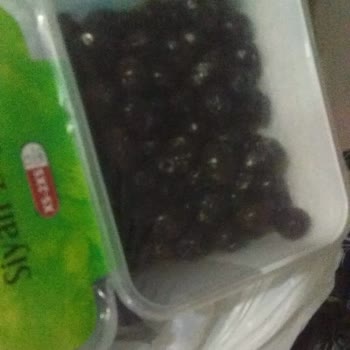 Tukaş Zeytinde Küf Oluşumu.