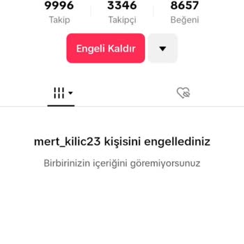 TikTok Tehdit Ve Tac*z İstismarı