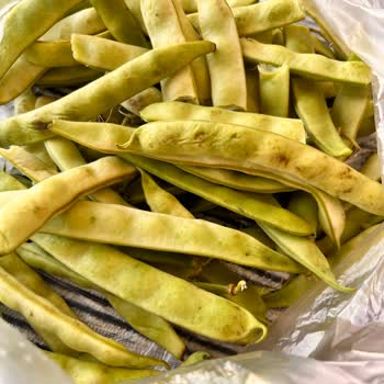 Migros Sanal İade İşleminin Sonuçlanmaması