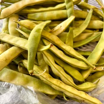 Migros Sanal İade İşleminin Sonuçlanmaması