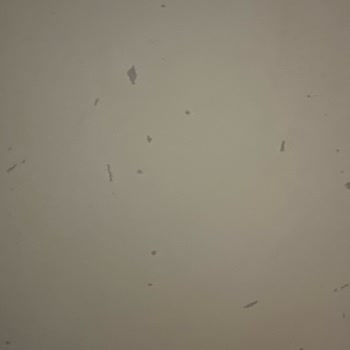 Bellona Masa Ve Sandalye Takımı Çok Kalitesiz Çıktı