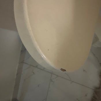 Bellona Masa Ve Sandalye Takımı Çok Kalitesiz Çıktı