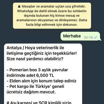 Hoya Veterinerlik (Antalya) Mağduriyet Yaratan Sahte Sahiplendirme
