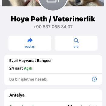 Hoya Veterinerlik (Antalya) Mağduriyet Yaratan Sahte Sahiplendirme