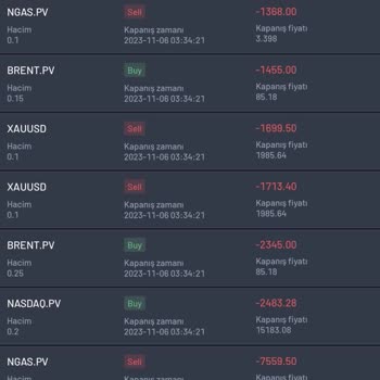 Provider Capital Markets Yatırım Vaadiyle Kaybettiğim 14.000$