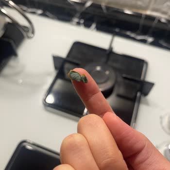 Dimes Den Küf Bezeleri Çıktı