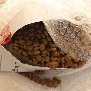 Yemci Pet Shop Yemci Petshop Yemcipetshop.com