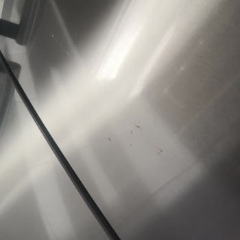 Siemens Buzdolabında Pas Ve Solma Sorunu