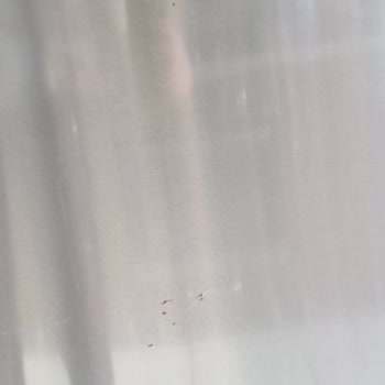 Siemens Buzdolabında Pas Ve Solma Sorunu