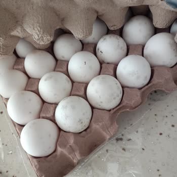 BİM Küflenmiş Bili Bili Marka Yumurta