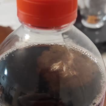 Aldığım Didi Soğuk Çay İçinden Çıkan Yabancı Maddeler