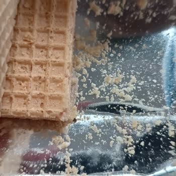 Ülker Gofret Böcek Çıkması