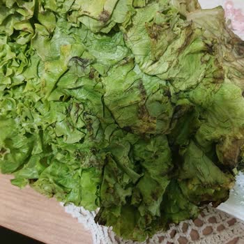 İstegelsin Ürünlerin Eksik Ve Bozuk Olması