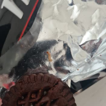 Eti Gıda Eti Nero'da Şok! Açtığımda Kurt Çıktı!