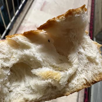 BİM Ekmek Böcek Çıktı