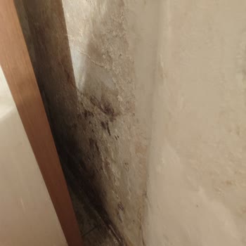 İzsu Kanalizasyon Şebekesi Sızıntısı Ve Eve Su Basması