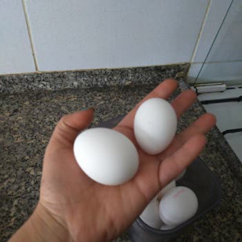 Paşaoğlu Yumurta Paketli Yumurtanın Karışık Olması