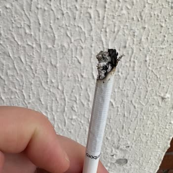 Marlboro Marka Sigaralardaki Yabancı Maddeler