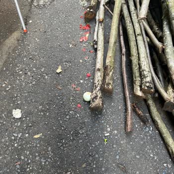 Kocaali Belediyesi Evimin Önünün Çöplük Gibi Olması